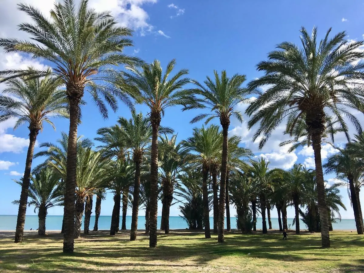 New Central Studio Torremolinos